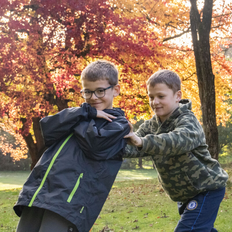 Fund a Programme or Thematic Area